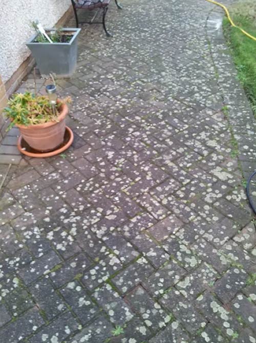 lichen stained patio in Arundel