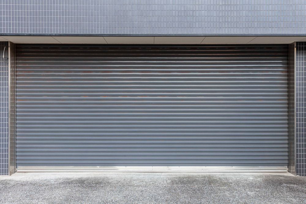 Garage door open, revealing a driveway and yard. Gray door, concrete and greenery visible.