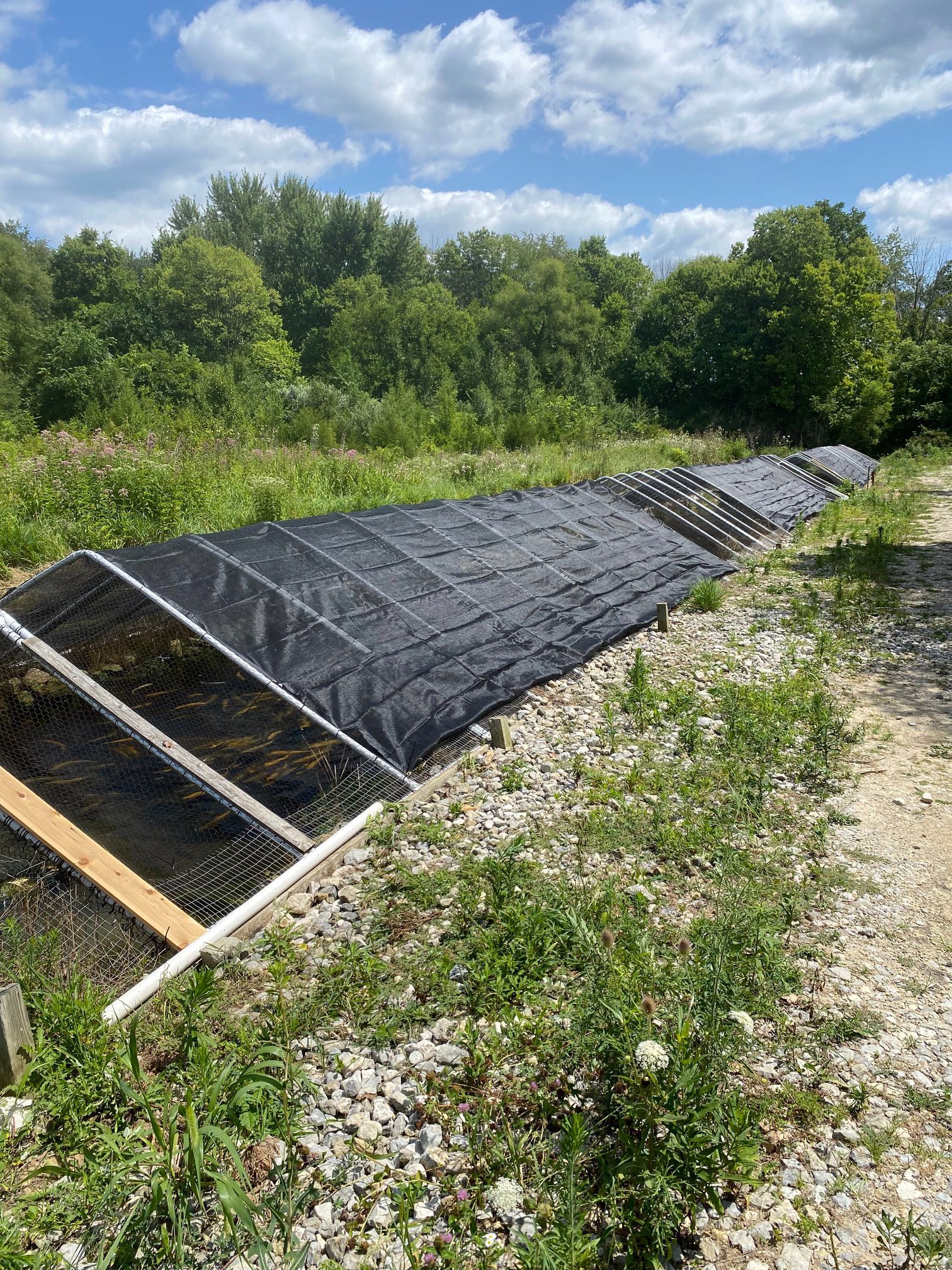 A row of sun shelter material sitting on top of a trout run.