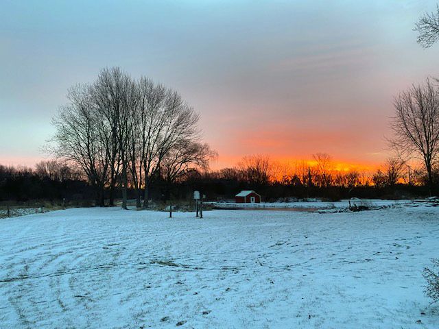 A snowy field with trees in the background and a sunset in the background.