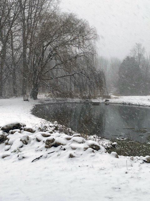 A river surrounded by snow covered trees and rocks on a snowy day.