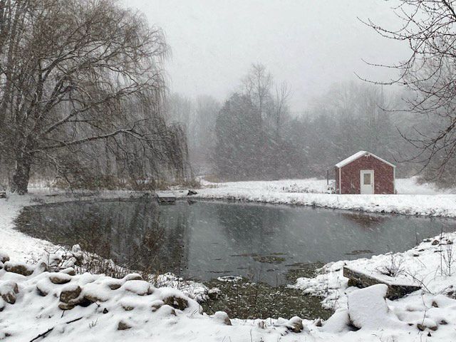 A red shed sits in the middle of a snowy field next to a pond.