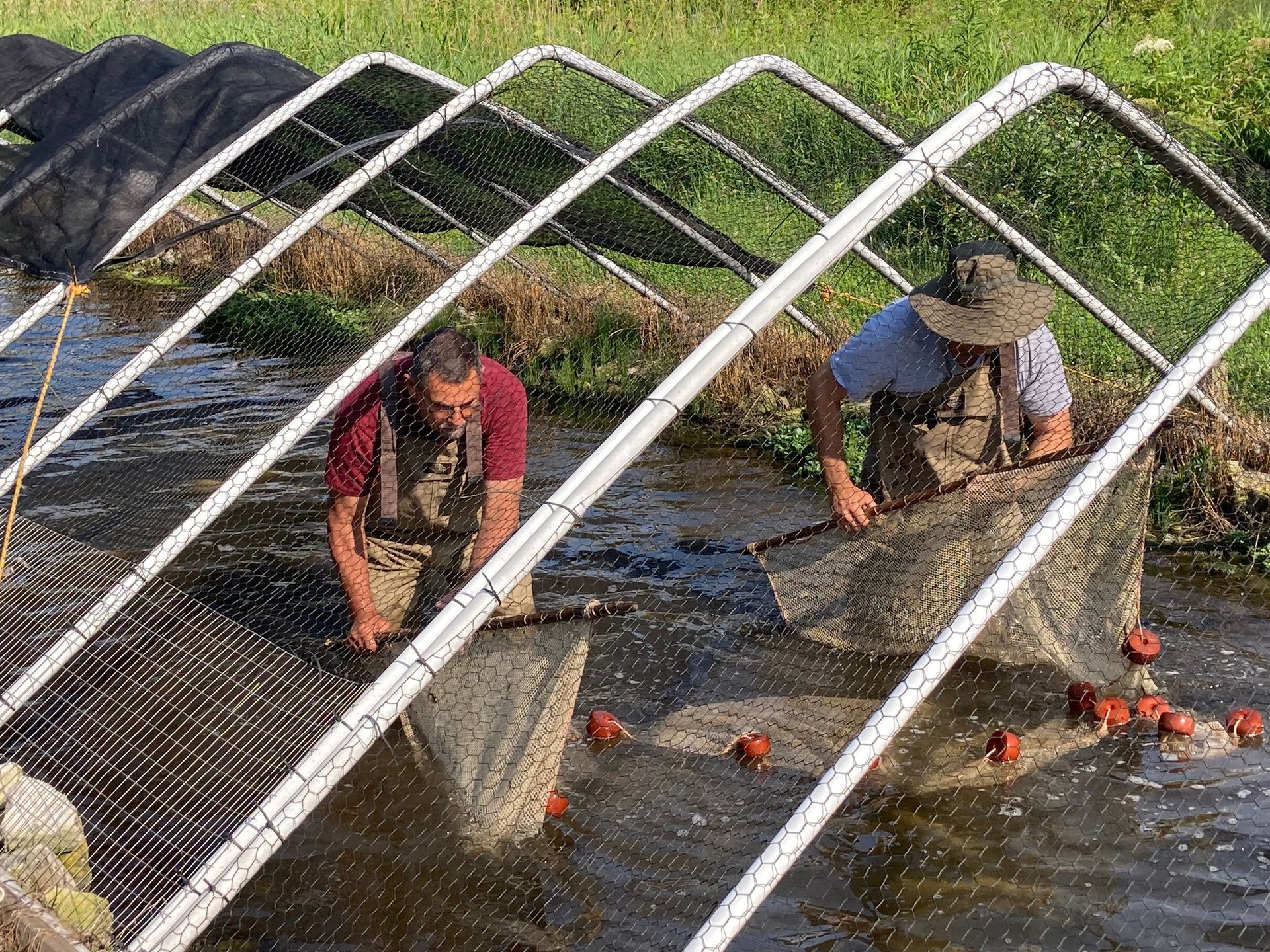 Two men are working on a fishing net in a river.
