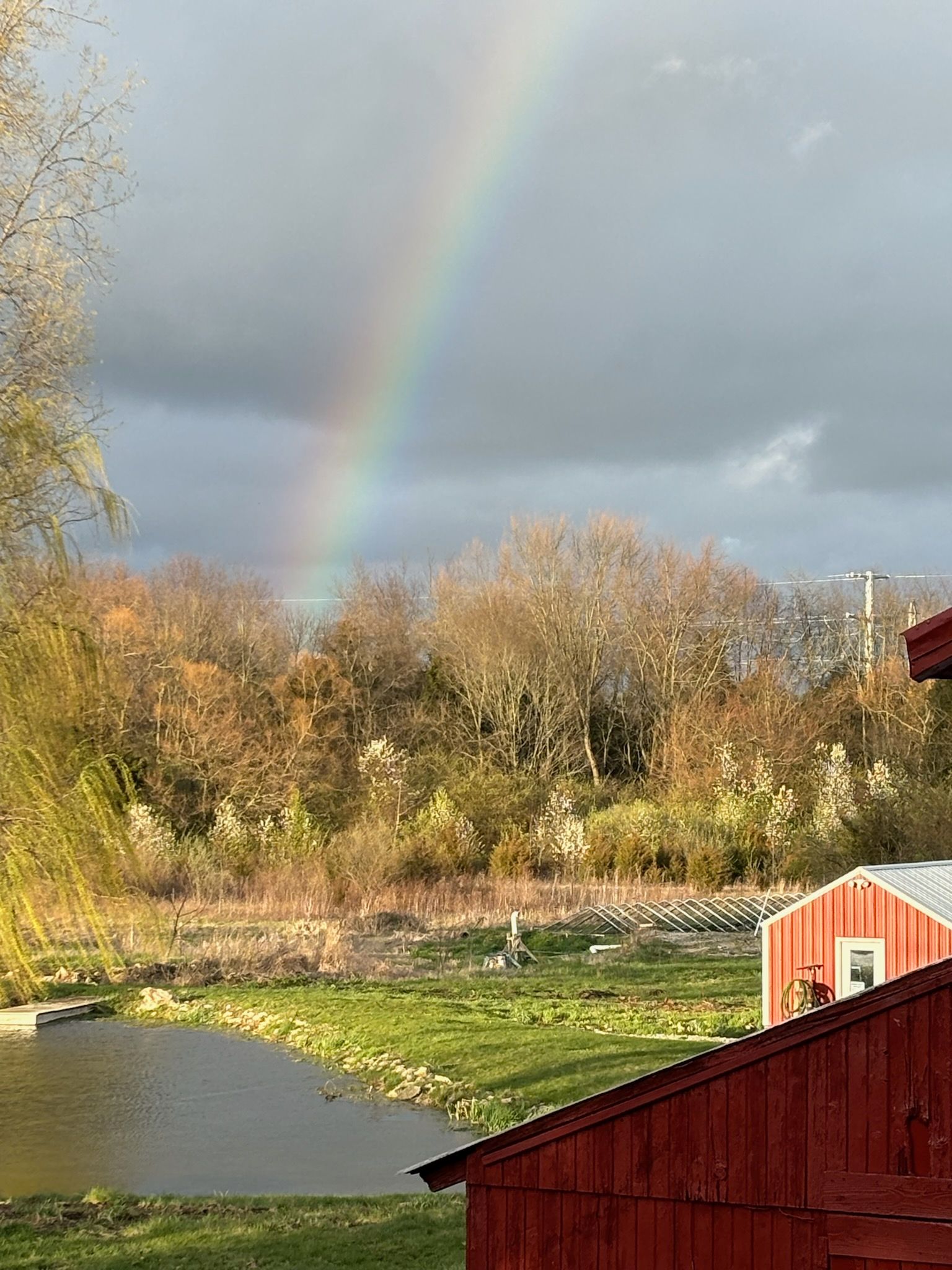 A rainbow is visible over a pond in front of a red barn.