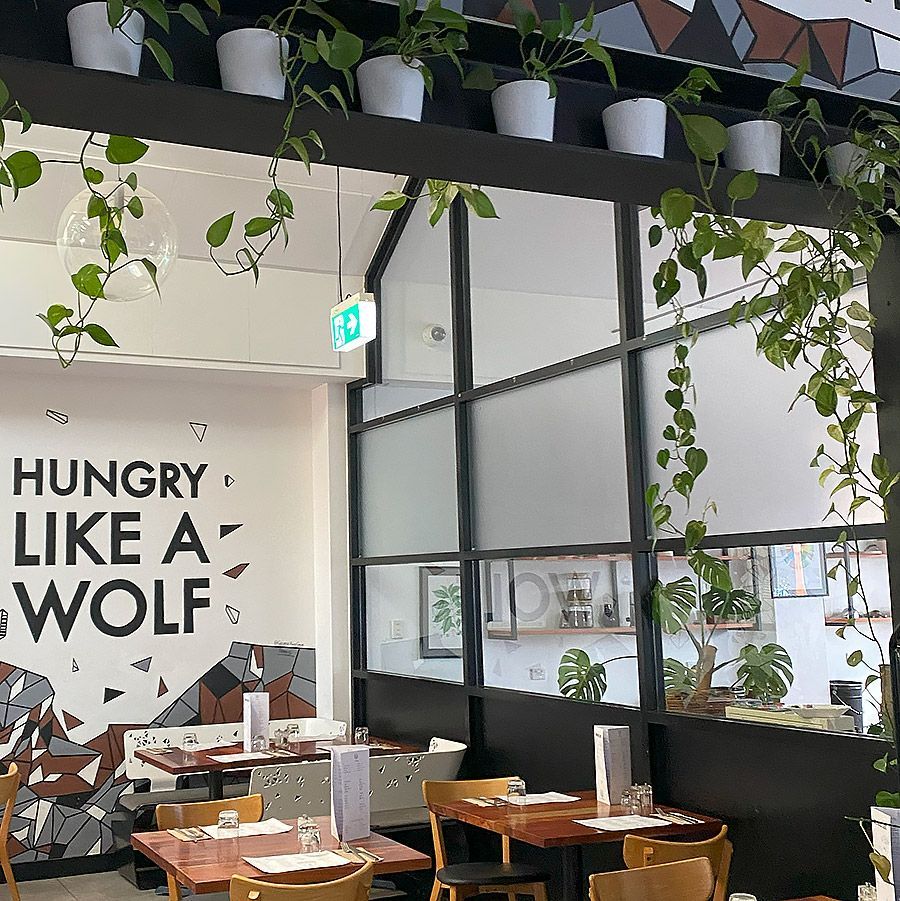 hungry like a wolf window cleaning - Pro Vision Window Cleaning