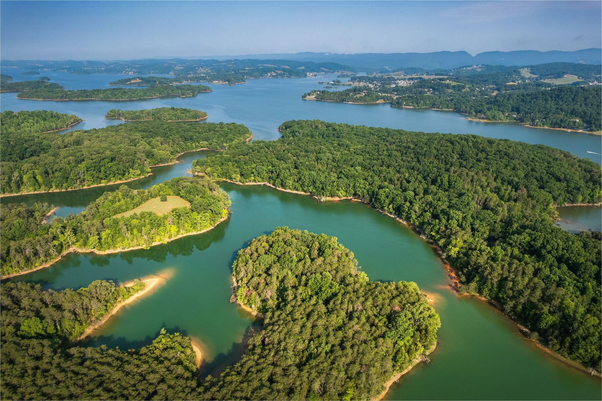 An aerial view of cherokee lake surrounded by trees