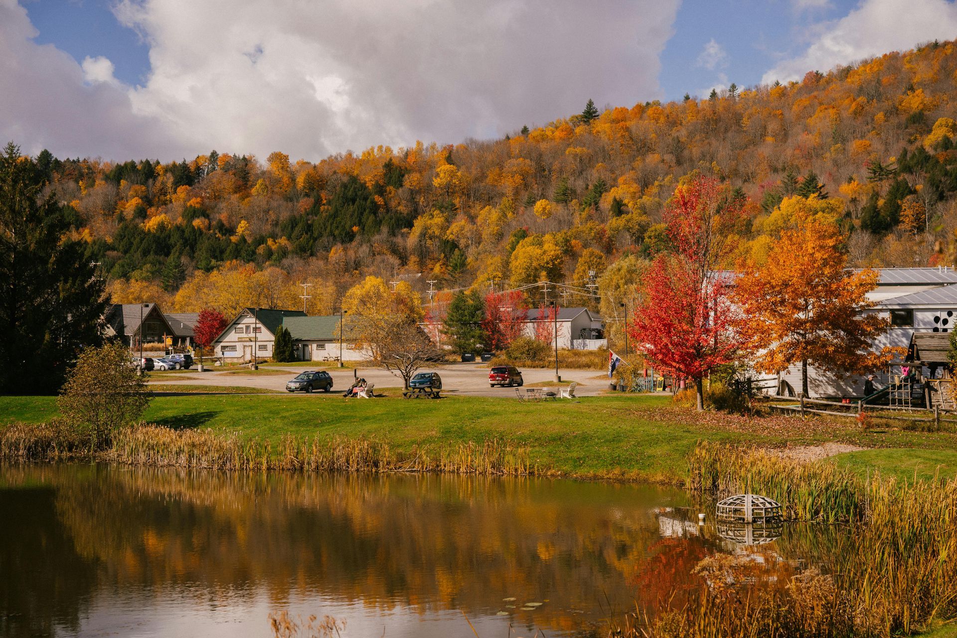 A small town with a lake in the foreground and trees in the background