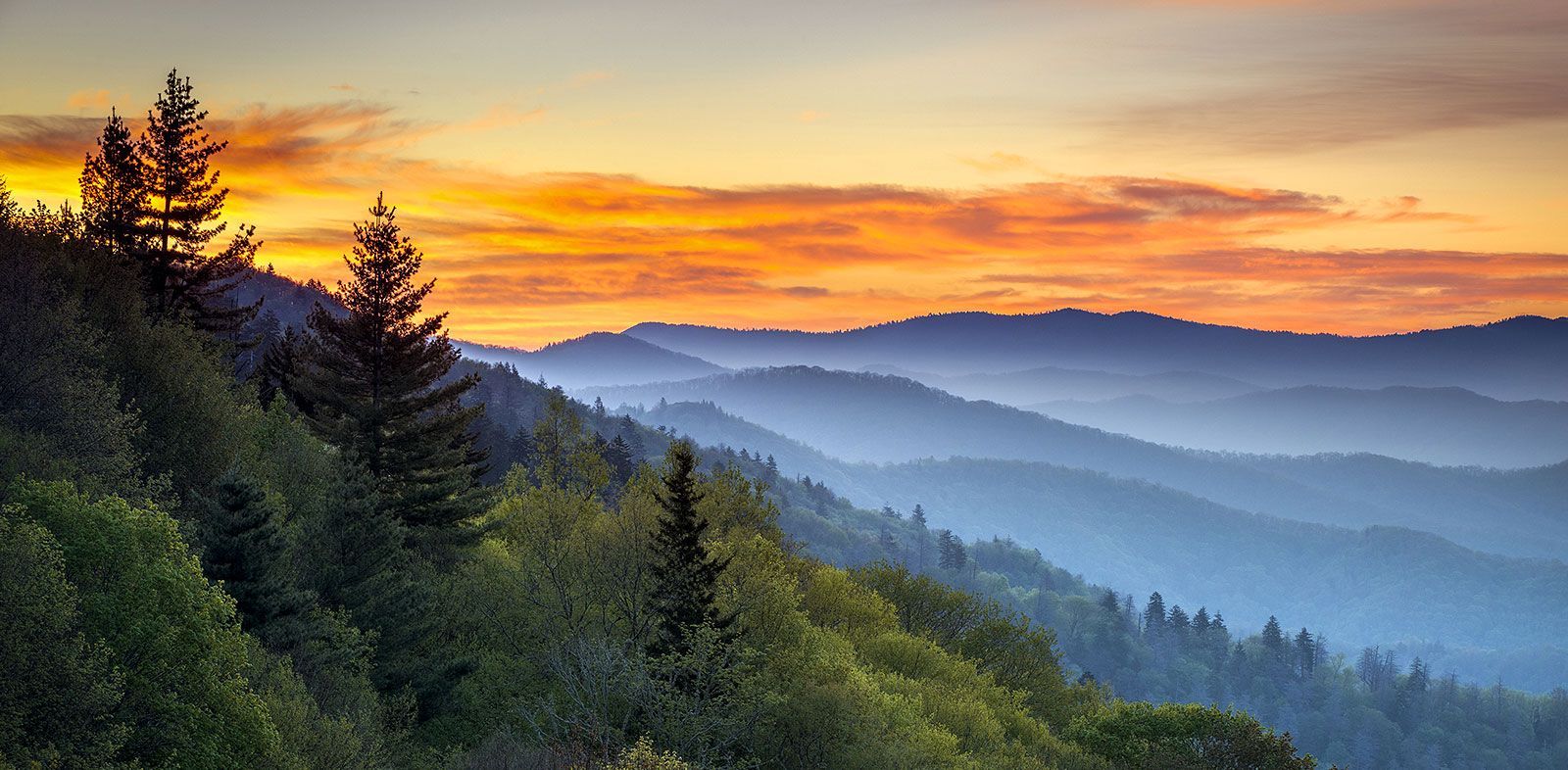 A sunset over a mountain range with trees in the foreground.