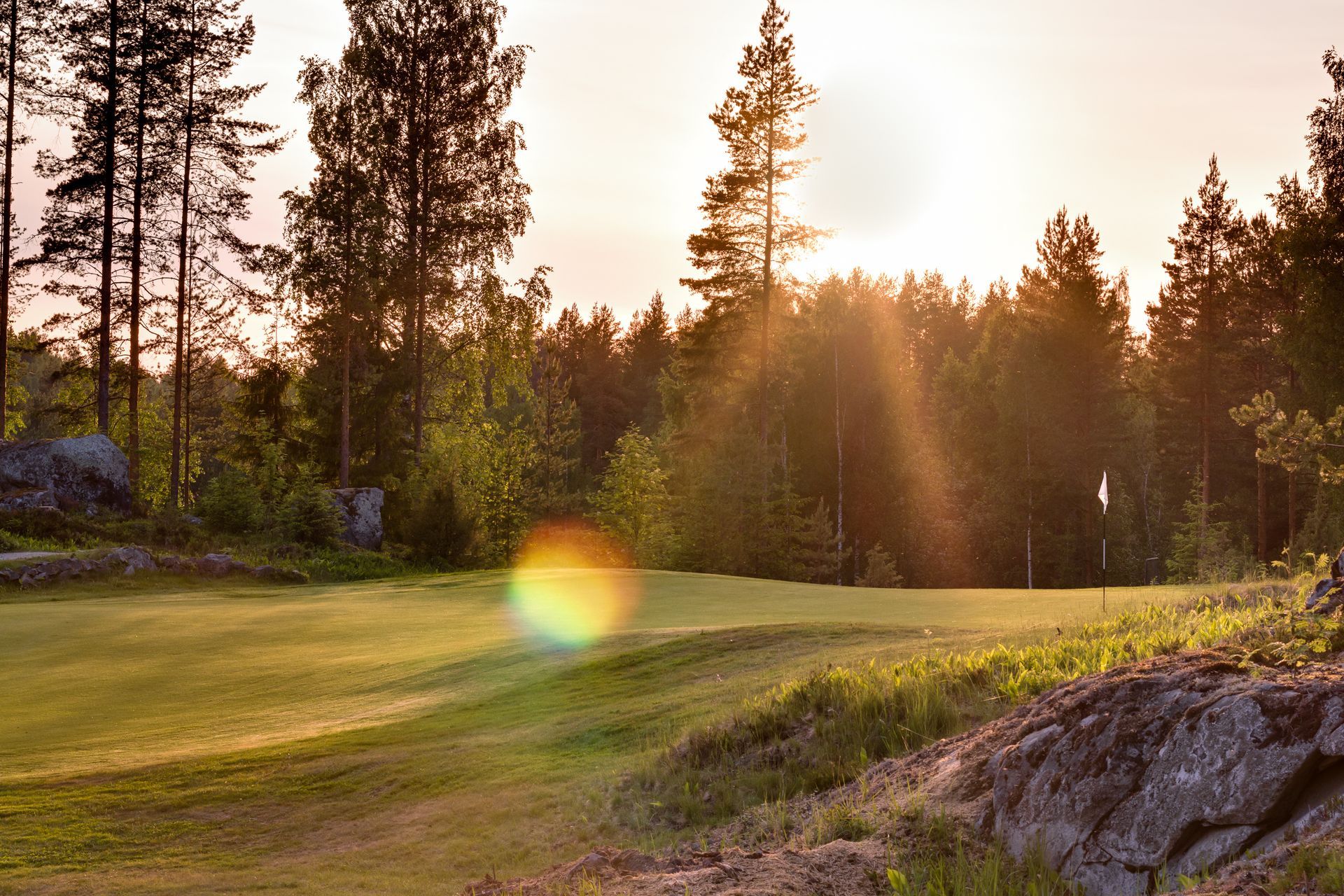 Golf green with a flag, illuminated by sunlight filtering through trees.