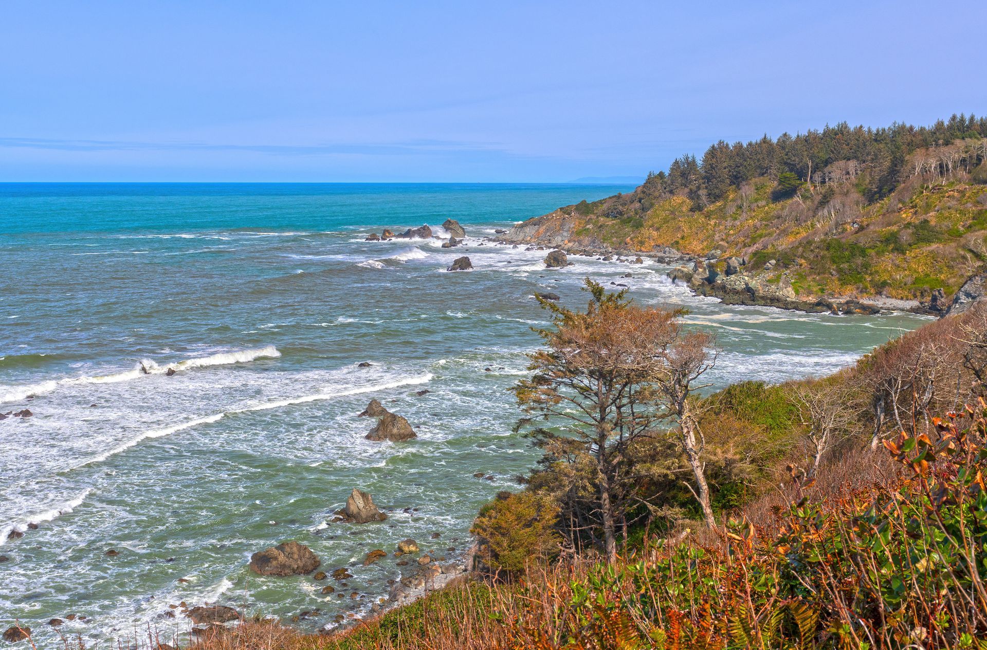 Ocean waves crash against a rocky coastline under a blue sky, with trees and shrubs dotting the bluffs.