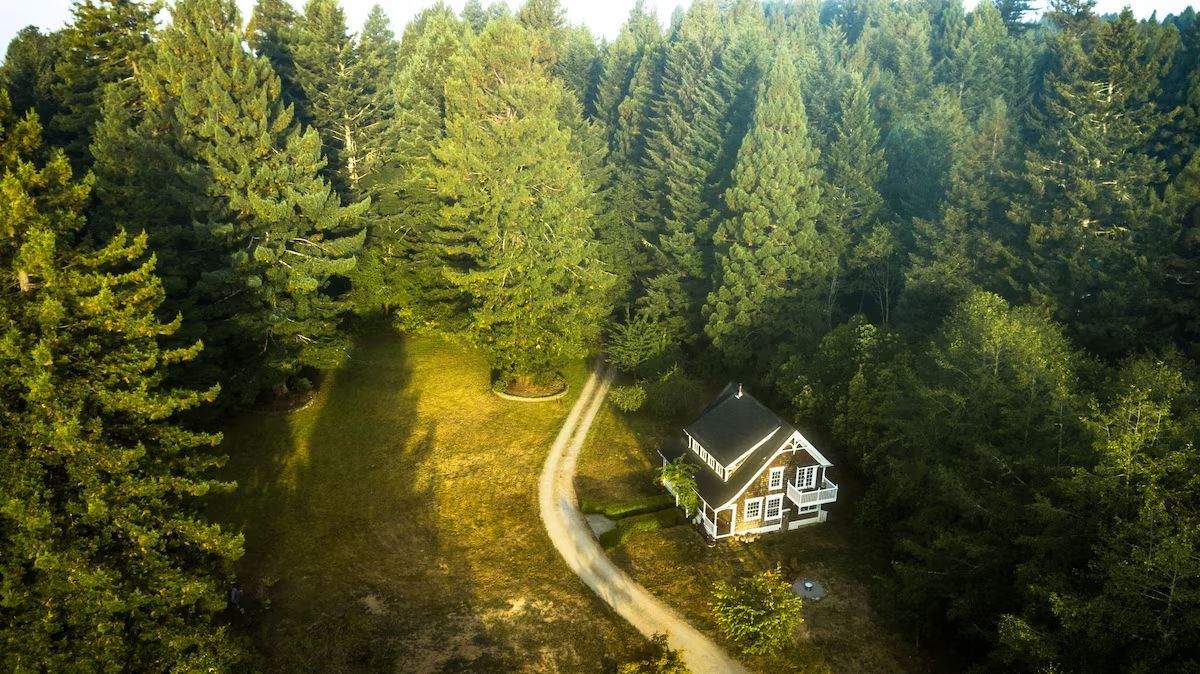 Cabin nestled in a green forest; dirt road leads to the house, surrounded by trees.