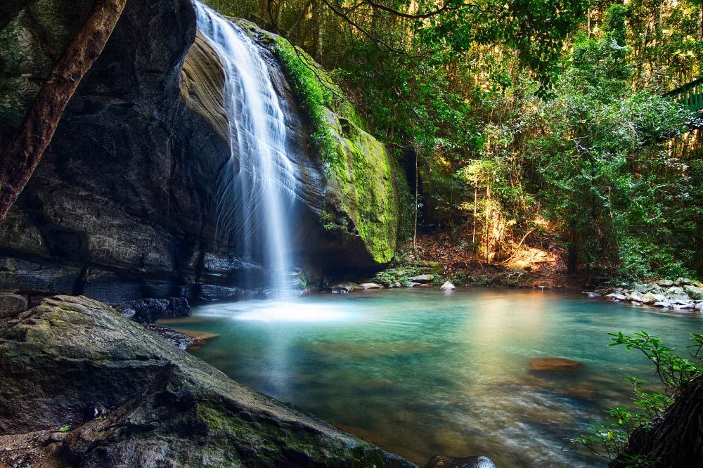 Serenity Falls at Buderim Rainforest Park — Dental Clinic in Buderim, QLD