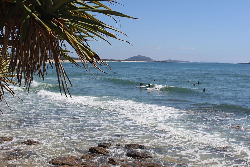 People Enjoying the Waves in Alexandra Headland — Dental Clinic in Alexandra Headland, QLD