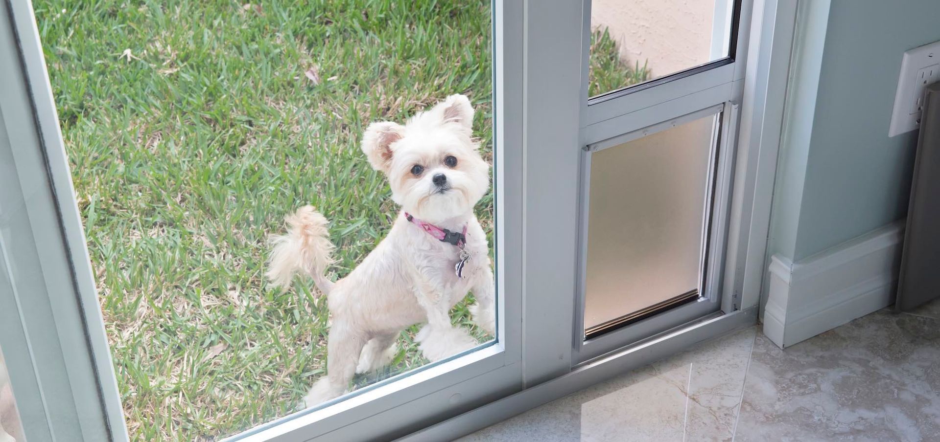 The Potential Benefits of Adding a Pet Door to Your Home