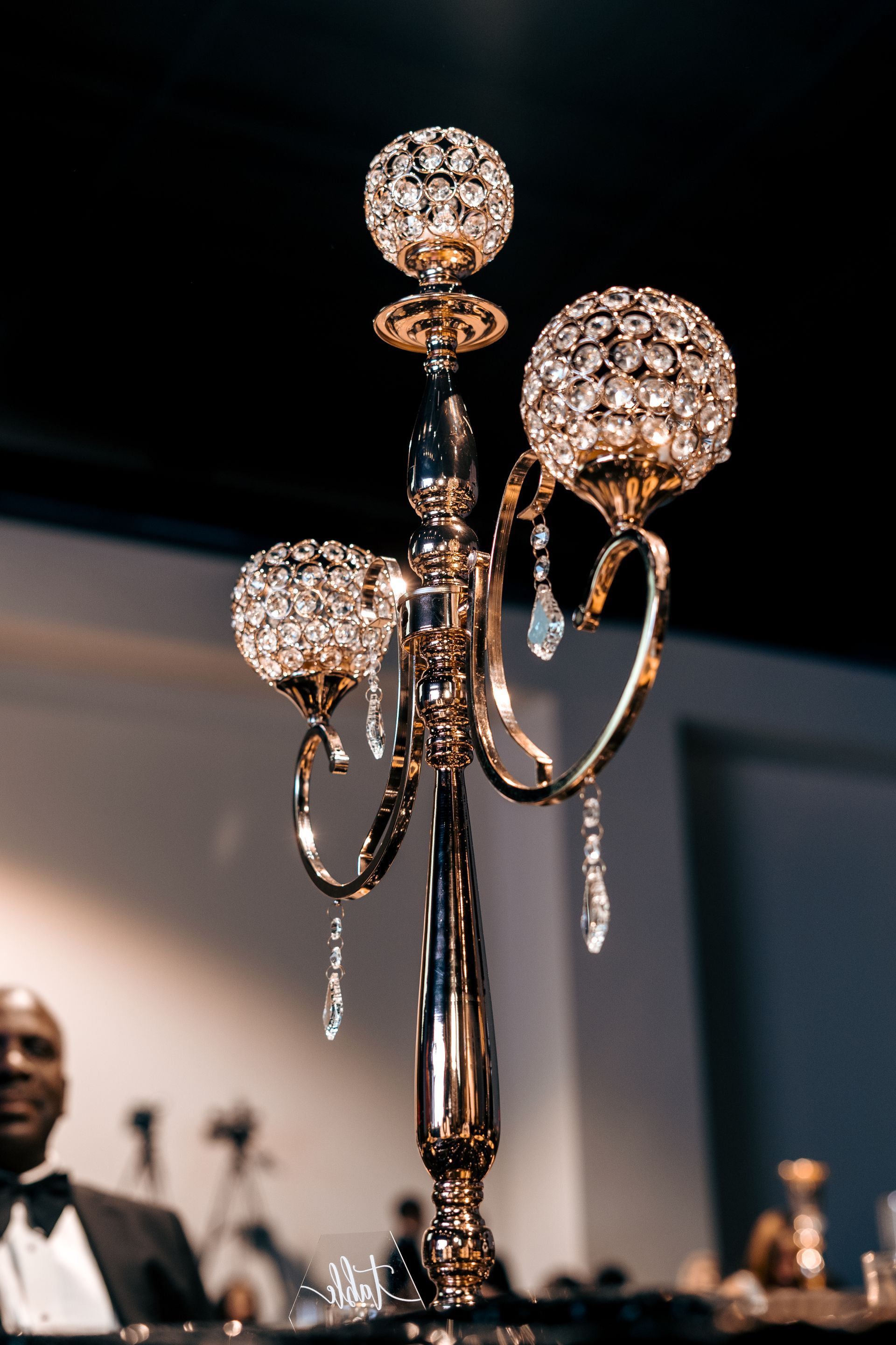 A man in a tuxedo is standing next to a candelabra with crystals on it.