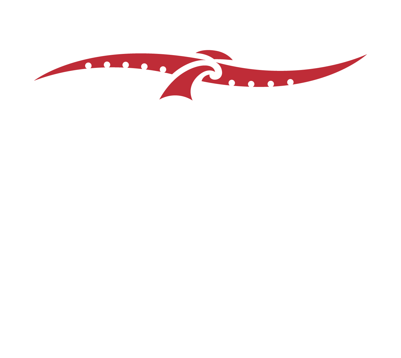 NISS Logo