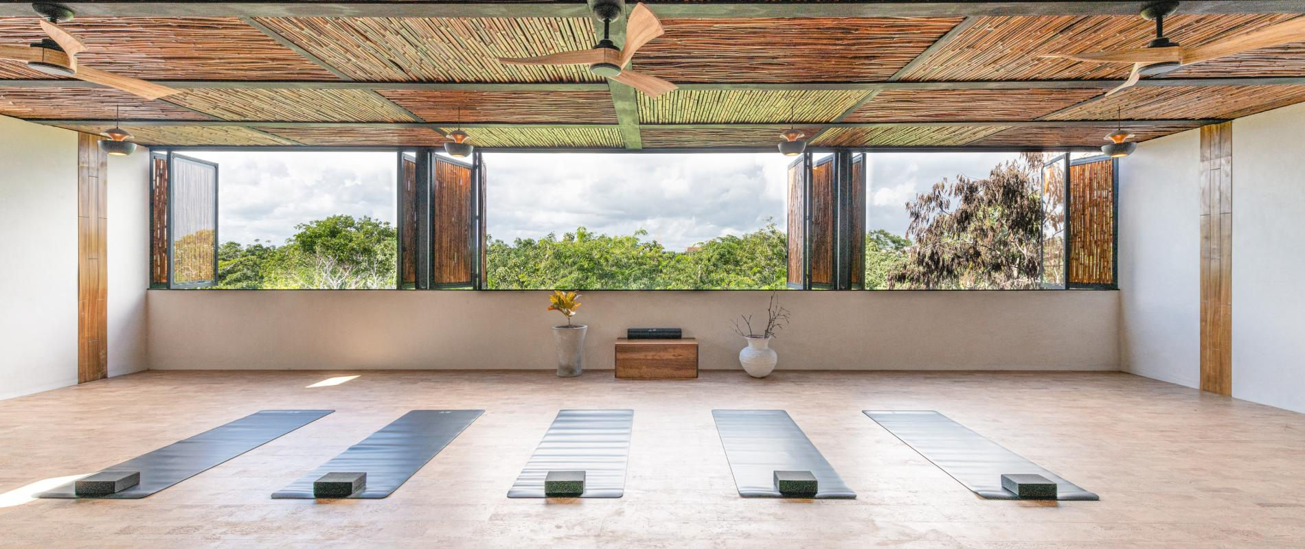 Yoga studio with mats on wooden floor, large windows overlooking green trees, and a textured ceiling.