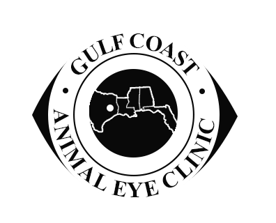 Gulf Coast Animal Eye Clinic