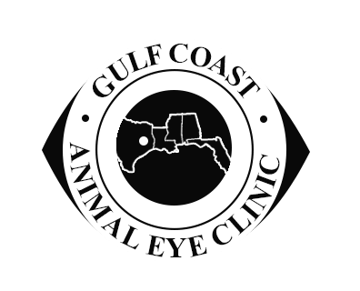 Veterinary sales eye clinic