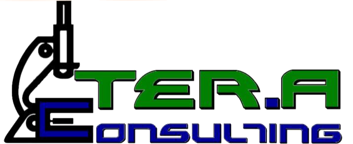 TER.A Consulting logo