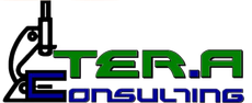 TER.A Consulting logo