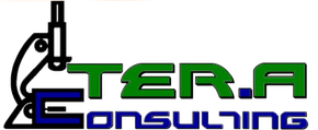 TER.A Consulting logo