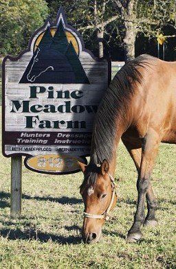 A horse is grazing in front of a pine meadow farm sign.