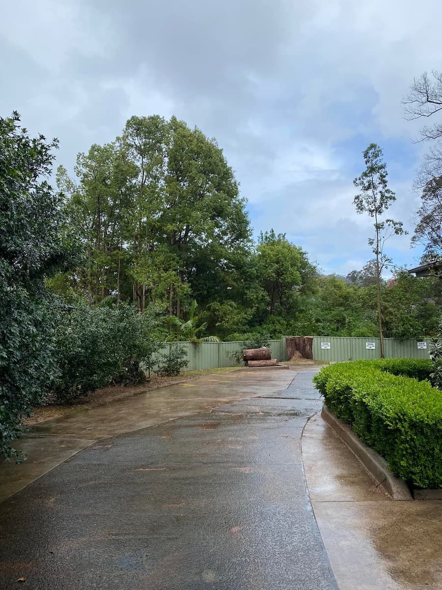 A Wet Road With Trees On Both Sides And A Fence In The Background — All Area Tree Service Pty Ltd In Fountaindale, NSW