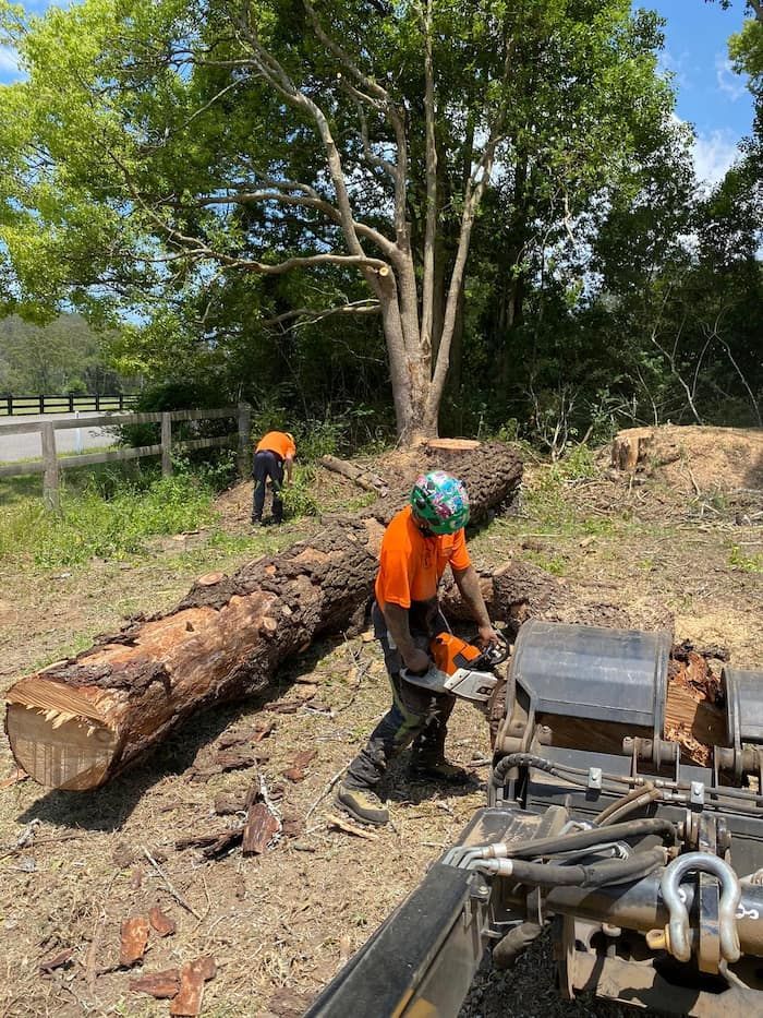 A Man Is Cutting A Large Log With A Chainsaw In A Field — All Area Tree Service Pty Ltd In Fountaindale, NSW