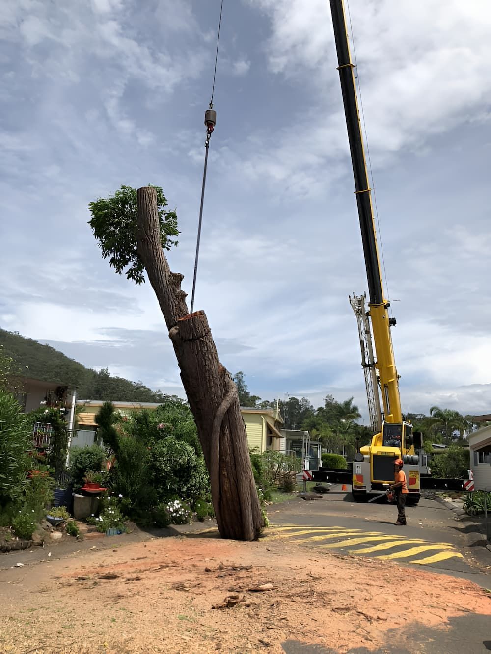 A Large Tree Is Being Removed By A Crane — All Area Tree Service Pty Ltd In Fountaindale, NSW