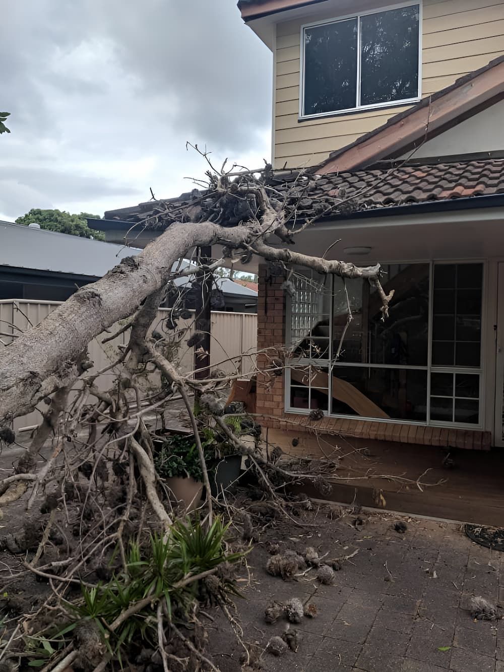 A Tree Has Fallen On The Roof Of A House — All Area Tree Service Pty Ltd In Fountaindale, NSW