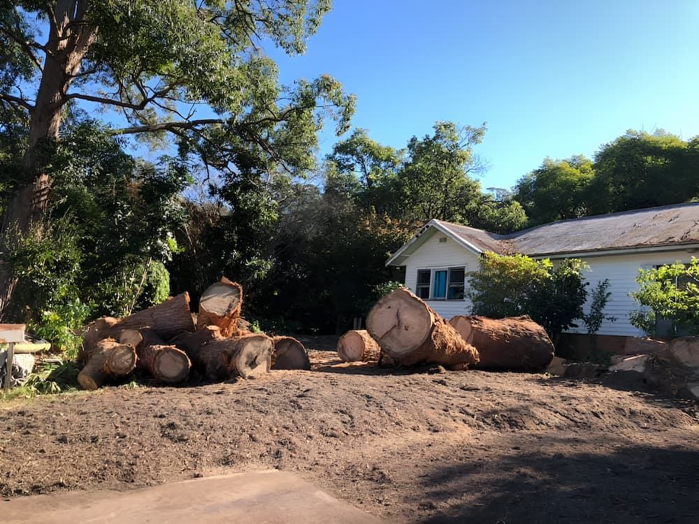 A Pile Of Logs In Front Of A House — All Area Tree Service Pty Ltd In Fountaindale, NSW