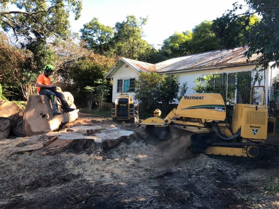 A Man Is Sitting On A Tree Stump Next To A Tractor — All Area Tree Service Pty Ltd In Fountaindale, NSW