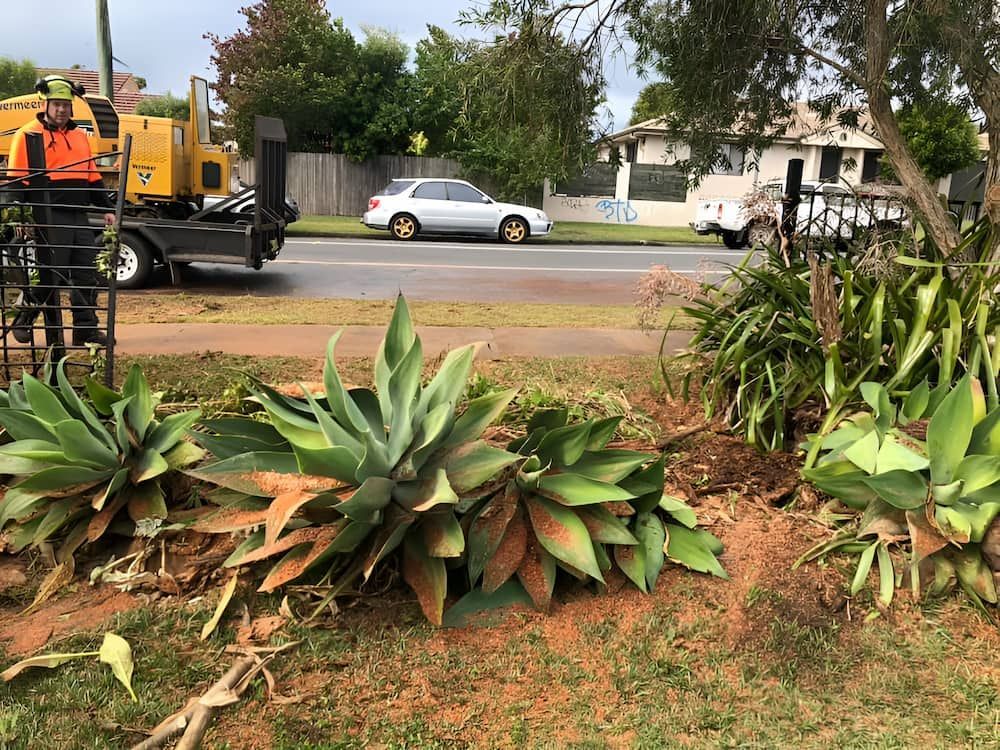A Man Is Standing Next To A Truck In A Yard — All Area Tree Service Pty Ltd In Fountaindale, NSW