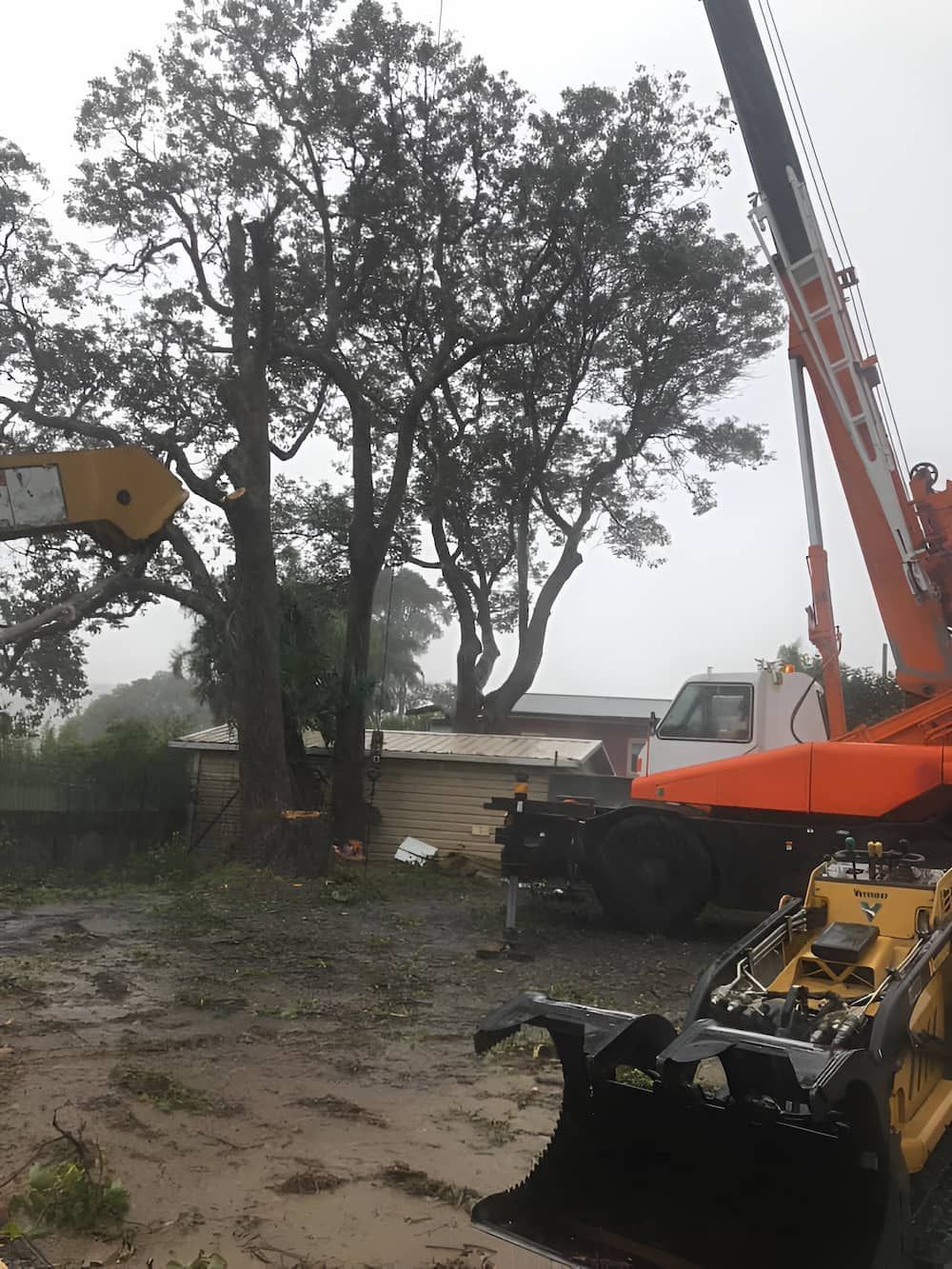 A Large Tree Is Being Removed By A Crane — All Area Tree Service Pty Ltd In Fountaindale, NSW