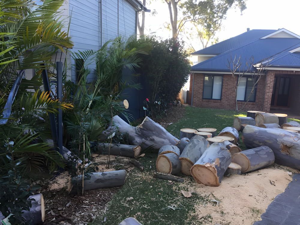 A Pile Of Logs Is Sitting In Front Of A House — All Area Tree Service Pty Ltd In Fountaindale, NSW