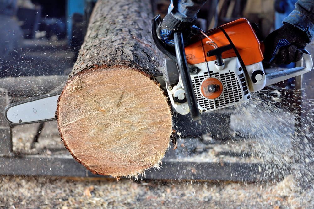 A Person Is Cutting A Log With A Chainsaw — All Area Tree Service Pty Ltd In Hunter Valley, NSW