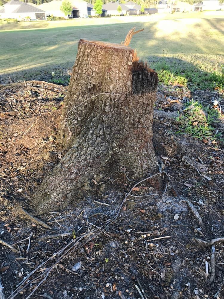 A Large Tree Stump Is Sitting In The Middle Of A Dirt Field — All Area Tree Service Pty Ltd In Wyong, NSW