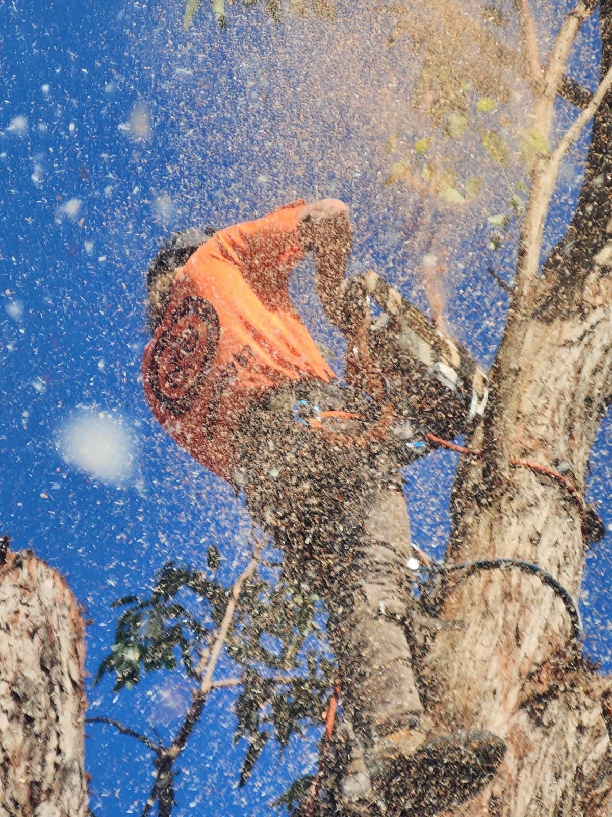 A Group Of Men Are Working On A Pile Of Logs — All Area Tree Service Pty Ltd In Fountaindale, NSW