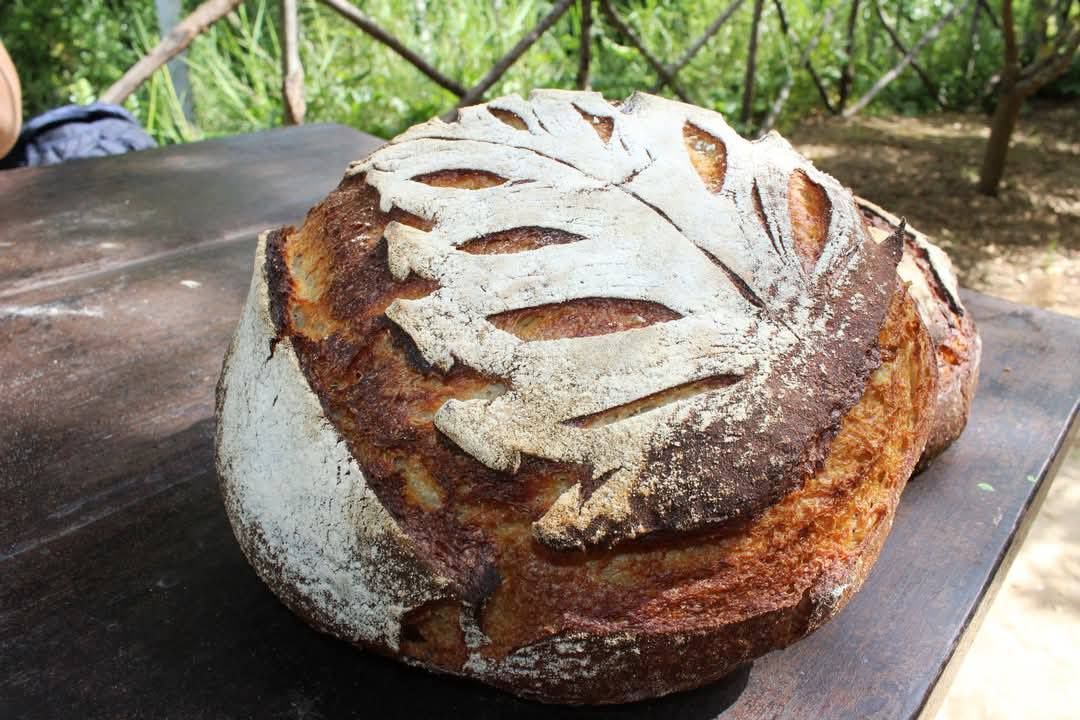 TERRA DUNCI PANIFICIO ARAGONA