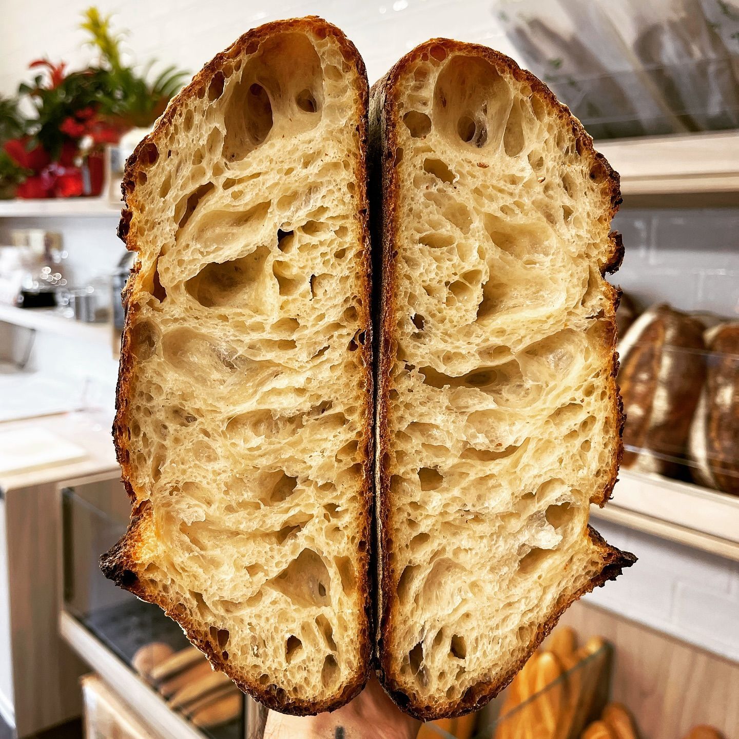 TERRA DUNCI PANIFICIO ARAGONA