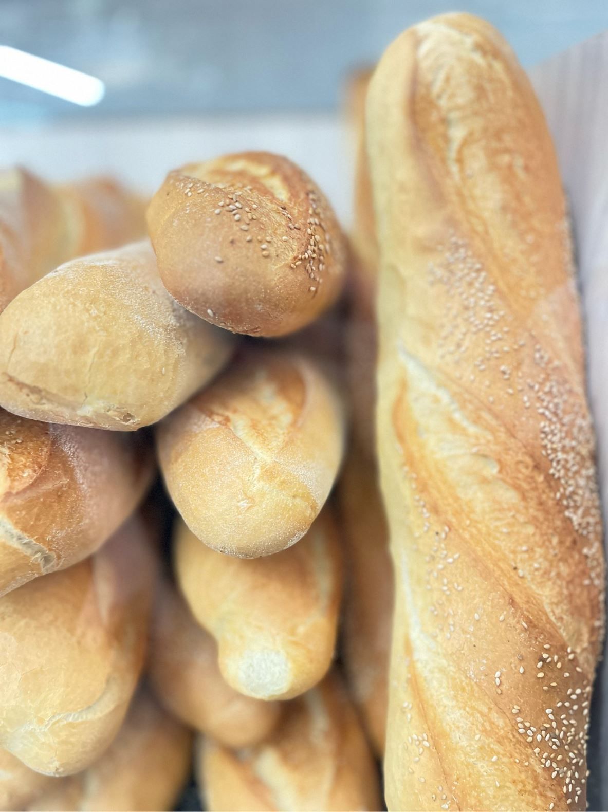 TERRA DUNCI PANIFICIO ARAGONA