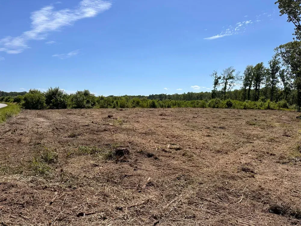 A dirt field with trees in the background and a blue sky.
