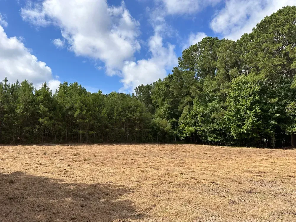 A field with trees in the background and a blue sky with clouds