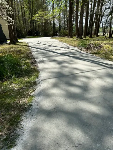 A concrete driveway leading to a house in the woods.