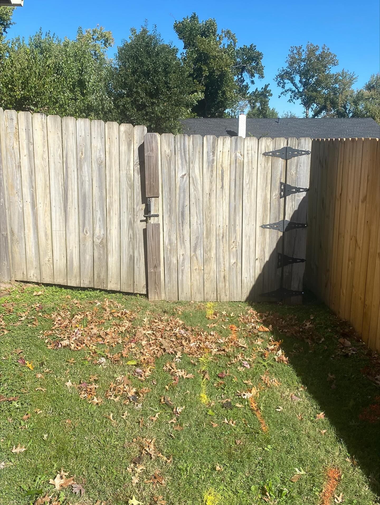 Wooden fence with gate, leaves on grass.