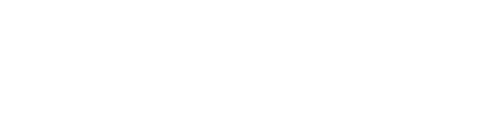 Flint Aero, Inc. logo