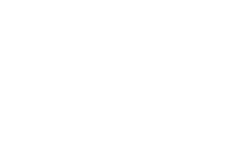 A large, brown, oval-shaped nut with a textured shell, shown against a plain white background.