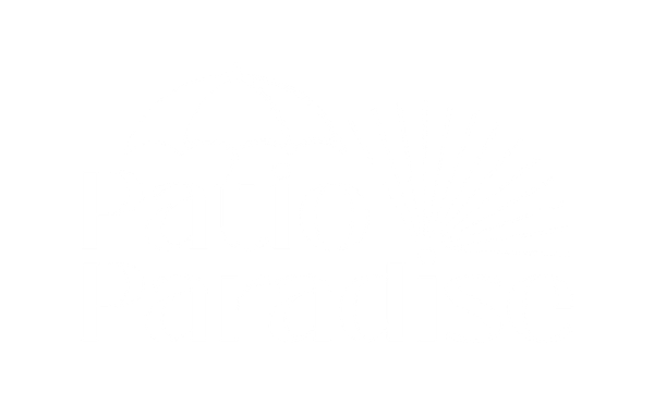 A large, brown, oval-shaped nut with a textured shell, shown against a plain white background.