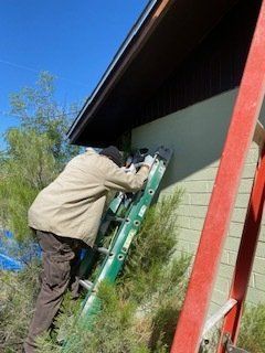 Person on ladder by a building, working on the exterior. Green siding, red and green ladders, clear blue sky.